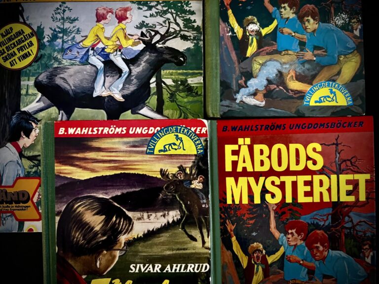 Skaparbubblor. Fäbodmysteriet